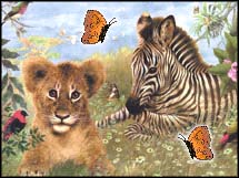 Babies of lion and  zebre